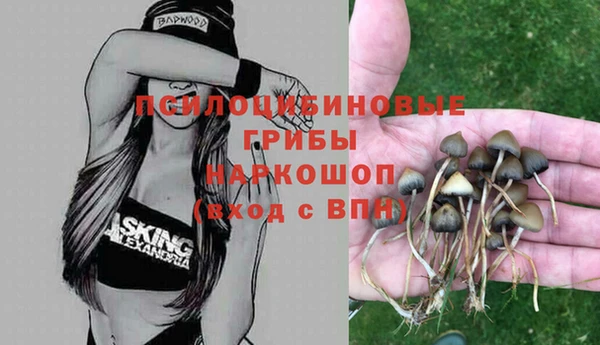 бутират Карпинск