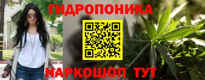 прущие крисы Волгодонск