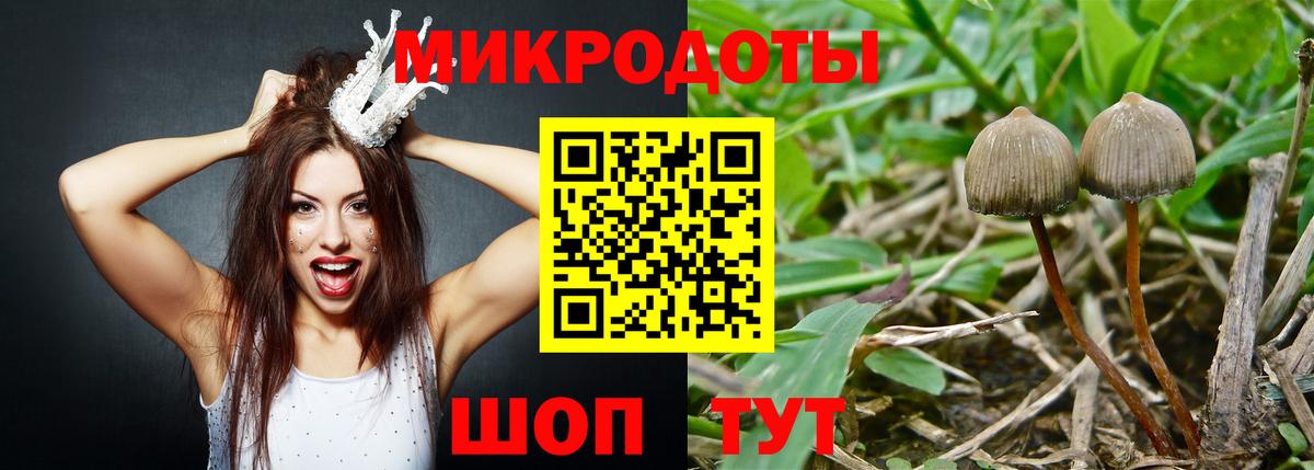 Магнитогорск  купить наркотик  Вход с VPN  Псилоцибиновые грибы Magic Shrooms  Псилоцибиновые грибы Cubensis 