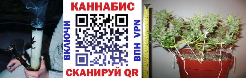 где купить наркоту  Магнитогорск  Конопля OG Kush 